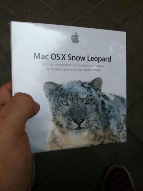 Snow Leopard